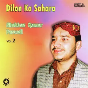 Dilon Ka Sahara, Vol. 2 image