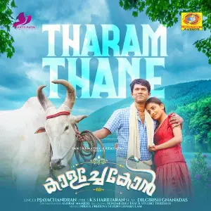 Tharam Thane (From Kaalachekon) image