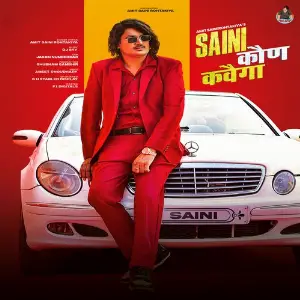 Saini Kaun Kavega image