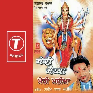 Meri Maiyya Saleem, Saleem-Parvez