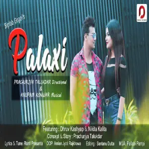 Palaxi image