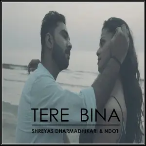 Tere Bina (feat. NDot) image