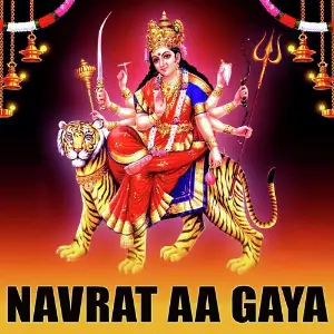 Navrat Aa Gaya image