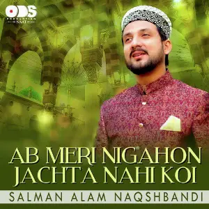 Ab Meri Nigahon Jachta Nahi Koi image