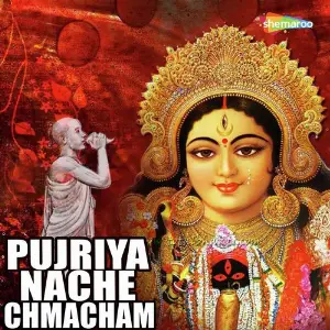 Pujriya Nache Chmacham image
