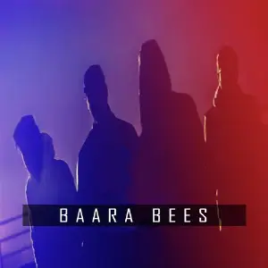 Baara Bees image