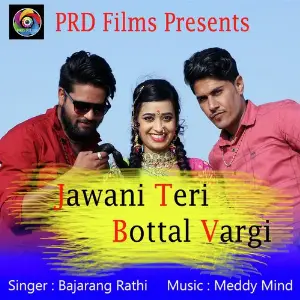 Jawani Teri Bottal Vargi image