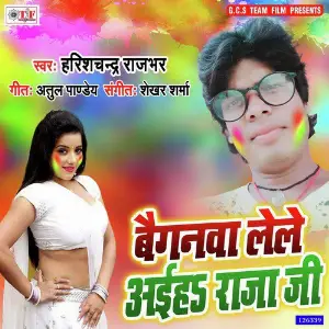 Baiganwa Lele Aiha Raja Ji image