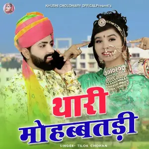 Thari Mohbbatdi image