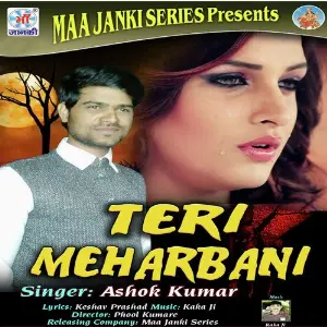 Teri Meharbani image