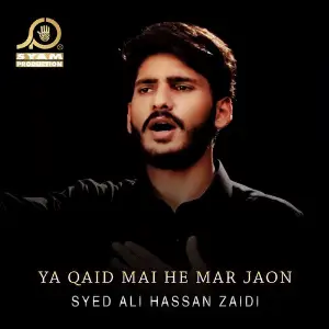 Ya Qaid Mai He Mar Jaon - Single image