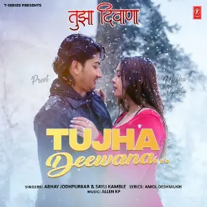 Tujha Deewana image
