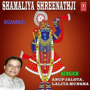 Shamaliya Shreenathji image