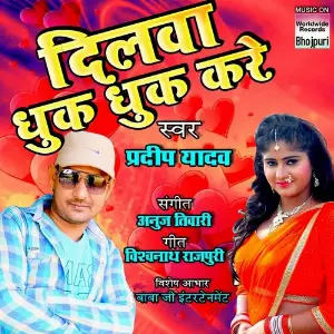 Dilwa Dhook Dhook Kare image