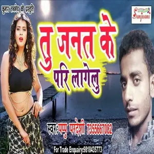 Tu Jannat Ke Pari Lagelu image