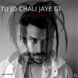 Tu Jo Chali Jaye Gi image