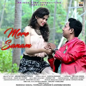 Mere Sanam image