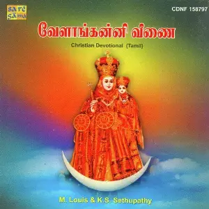 Vailankanni Veenai Various Artists