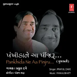 Pankhida Ne Aa Pinjru image
