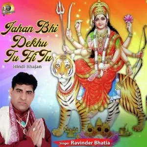 Jahan Bhi Dekhu Tu Hi Tu image