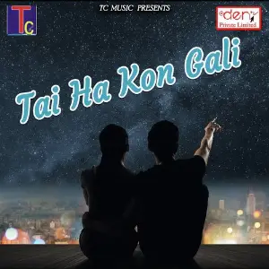 Tai Ha Kon Gali Various Artists
