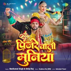 Pinjre Wali Muniya image