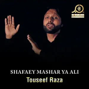 Shafaey Mashar Ya Ali image