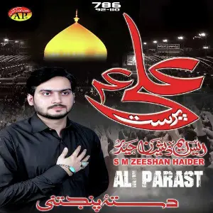 Ali Parast image