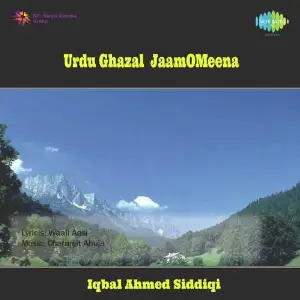 Urdu Ghazal - Jaam - O - Meena image