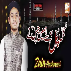 Kal Pul Se Hamein - Single image