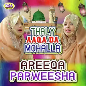 Thaly Aaqa Da Mohalla image