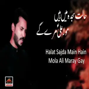 Halat Sajda Main Hain Mola Ali Maray Gay image