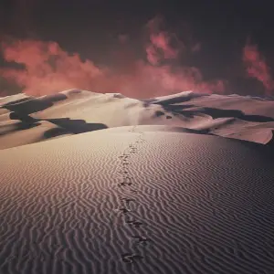 Path of Time image