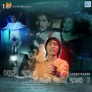 Mari Jaanu Mane Mali Jay 2 image