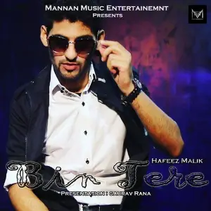 Bin Tere image