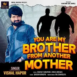 You Are My Brother From Another Mother image