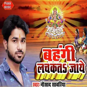 Bahangi Lachakat Jay image