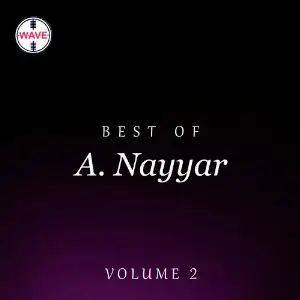 Best Of A. Nayyar, Vol. 2 image