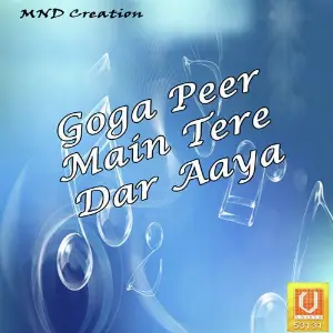 Goga Peer Main Tere Dar Aaya image