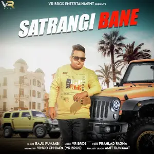 Satrangi Bane image