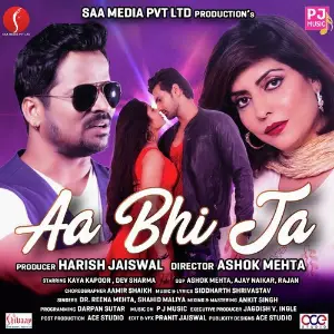 Aa Bhi Ja image