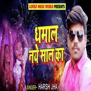 Dhamaal Naye Saal Ka image