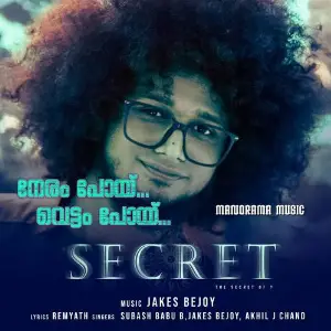 Neram Poy (From Secret) image