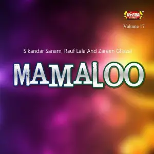 Mamaloo, Vol. 17 image