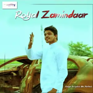 Royal Zamindar Mr. Perfect