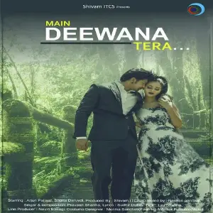 Main Deewana Tera image
