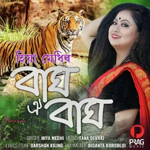 Bagh Oi Bagh image