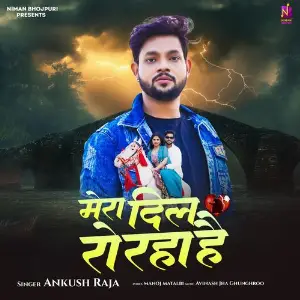 Mera Dil Ro Raha Hai image