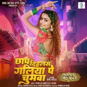 Chhap Dihlas Galiya Pe Chumawa (From Sasural Genda Phool) image