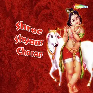Shree Shyam Charan image